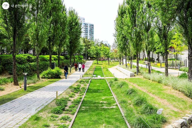 Gyeongui Line Forest Trail